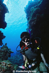 Devil's Grotto in Grand Cayman by Mordechai Saxon 